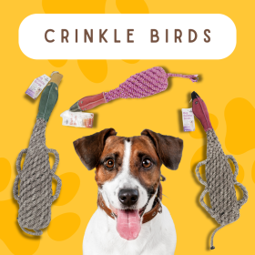 crinkle pheasant with squeaker