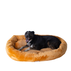 Armarkat Bolstered Pet Bed and Mat, ultra-soft Dog Bed S/M/L