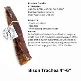 Bison Trachea Canoe