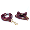 Red Wine collar, bow tie and leash