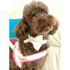 My baby girl One-click dog harness