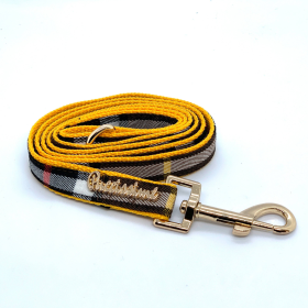 Medallion Dog Leash