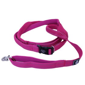 Cascades Plum Boysenberry Stretchable Runner Dog Leash