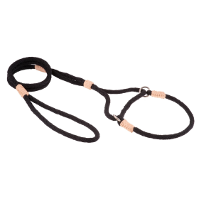 Alvalley Nylon Martingale Leads (size: 10in x 1/4in or 6mm)