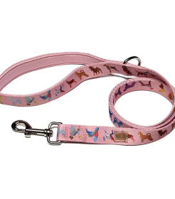 Dog Leash (Color: Pink, size: small)