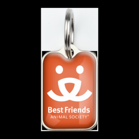 Best Friends (Color: Best Friends, size: Large (2.6cm x 1.8cm))