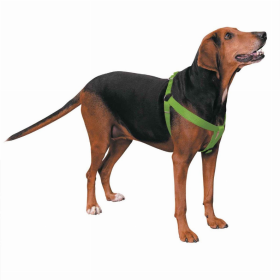 CC Nylon 2 Step Harness (Color: Light Green, size: 9-15in)