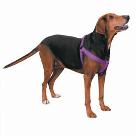 CC Nylon 2 Step Harness (Color: purple, size: 9-15in)