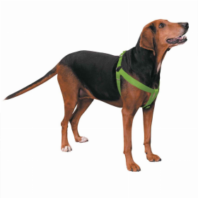 CC Nylon 2 Step Harness (Color: Light Green, size: 15-25in)