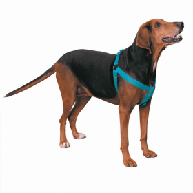 CC Nylon 2 Step Harness (Color: Turqouise, size: 25-40in)