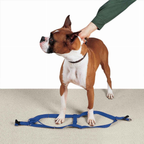 CC Nylon 2 Step Harness (Color: Royal Blue, size: 9-15in)