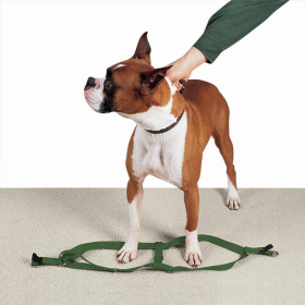 CC Nylon 2 Step Harness (Color: Dark Green, size: 9-15in)