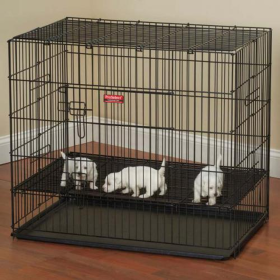 ProSelect Puppy PlayPen with Plastic Pan (Color: black, size: medium)