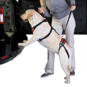 Total Pet Health Lift & Go Lead (Color: Red, size: small)