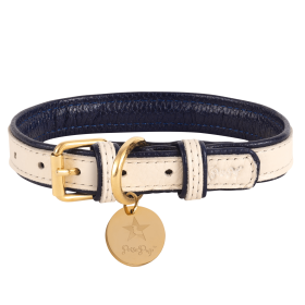 Dog Collar (Color: Hot Marine, size: large)