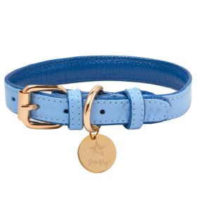 Dog Collar (Color: Ocean Vibes, size: large)