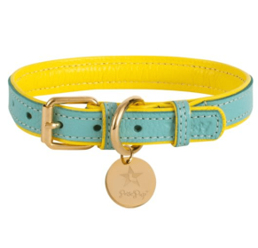 Dog Collar (Color: Sunshine Babe, size: medium)