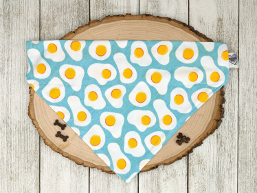 Sunny Side Up Eggs - No Tie Dog Collar Bandana (size: Kitty)