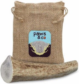 Whole Antler Chew (size: Xlarge)