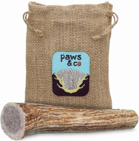 Whole Antler Chew (size: medium)