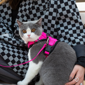 Mr. Peanut's PurrTrek Reflective Cat Harness with Matching Leash (Color: Pink, size: small)