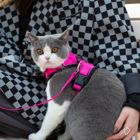 Mr. Peanut's PurrTrek Reflective Cat Harness with Matching Leash (Color: Pink, size: X Small)