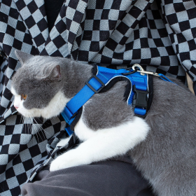 Mr. Peanut's PurrTrek Reflective Cat Harness with Matching Leash (Color: Blue, size: small)