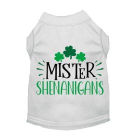 Mr.Shenanigans (size: medium)