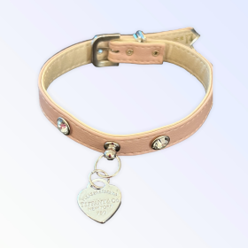 Pretty in Pink and Sniffany Collar (size: 12")