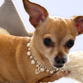 Rhinestone & Pearl Crown Necklace (size: 12")