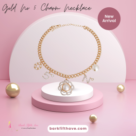 Gold No 5 Charm Necklace (size: medium)