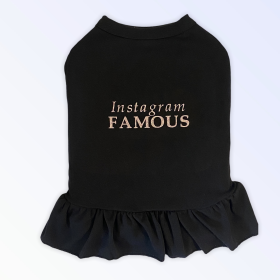 IG Famous Dress (size: medium)