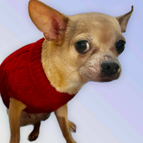 Knit Turtleneck Dog Sweater (Color: WINE RED, size: medium)