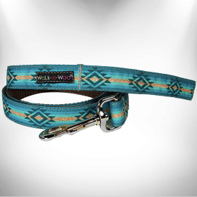 RaDog Leash (Color: Turquoise Sky, size: REGULAR 1" width- 5' long)