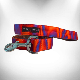 Ombre Dog Leads (size: REGULAR Lead 1" width- 5' length)