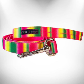 Tie Dye Dog Leads (Color: Pink/Green, size: REGULAR Lead 1" width- 5' length)