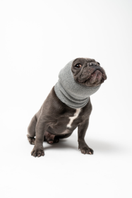 PET HOODZ DOG HOODIES FOR ANXIETY (Color: Grey, size: large)