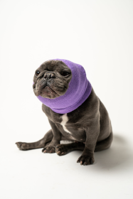 PET HOODZ DOG HOODIES FOR ANXIETY (Color: lavender, size: X-Large)