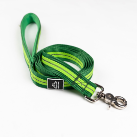 Appalachian Kiwi Green Flat Dog Leash (Color: Kiwi Green Flat, size: Large 1in. wide by 6ft. long)