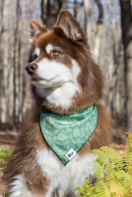 Pine Cone Pup Bandana (size: S/M - 18in x 10in)