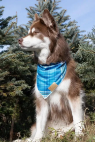 Blue Spruce Plaid Dog Bandana (size: M/L - 27in x 13in)