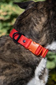 Scarlet Peaks Waterproof Dog Collar (size: 11 - 13 inch)