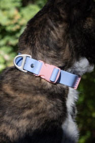 Blue Sky Orchid Waterproof Dog Collar (size: 13 - 15 inch)