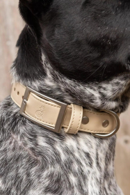 Champagne Fizz Vegan Leather Dog Collar (size: 15 - 19 inch)