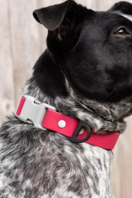 Red Mountain Syrah Waterproof Dog Collar (size: 15 - 17 inch)