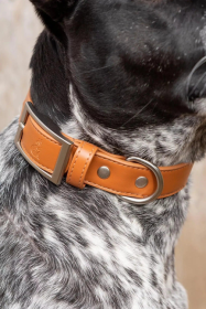 Sierra Sunrise Vegan Leather Dog Collar (size: 15 - 19 inch)