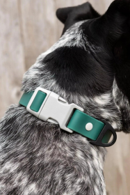 Siberian Spruce Waterproof Dog Collar (size: 11 - 13 inch)