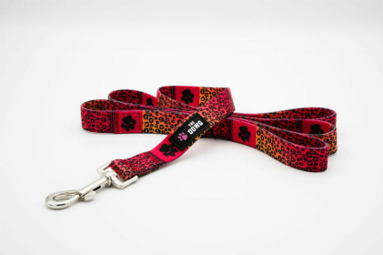 The Dowg Dog Leash (Color: Ruff And Rouge, size: large)